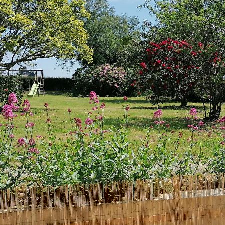 Gite 2 Pers Proche Plage Avec Jardin Clohars-Carnoët Dış mekan fotoğraf